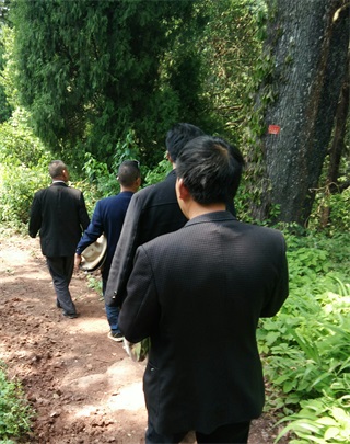 麻阳古树群中蜂养殖专业合作社,麻阳古树群中蜂养殖,麻阳古树群五倍子蜜,麻阳野生蜜