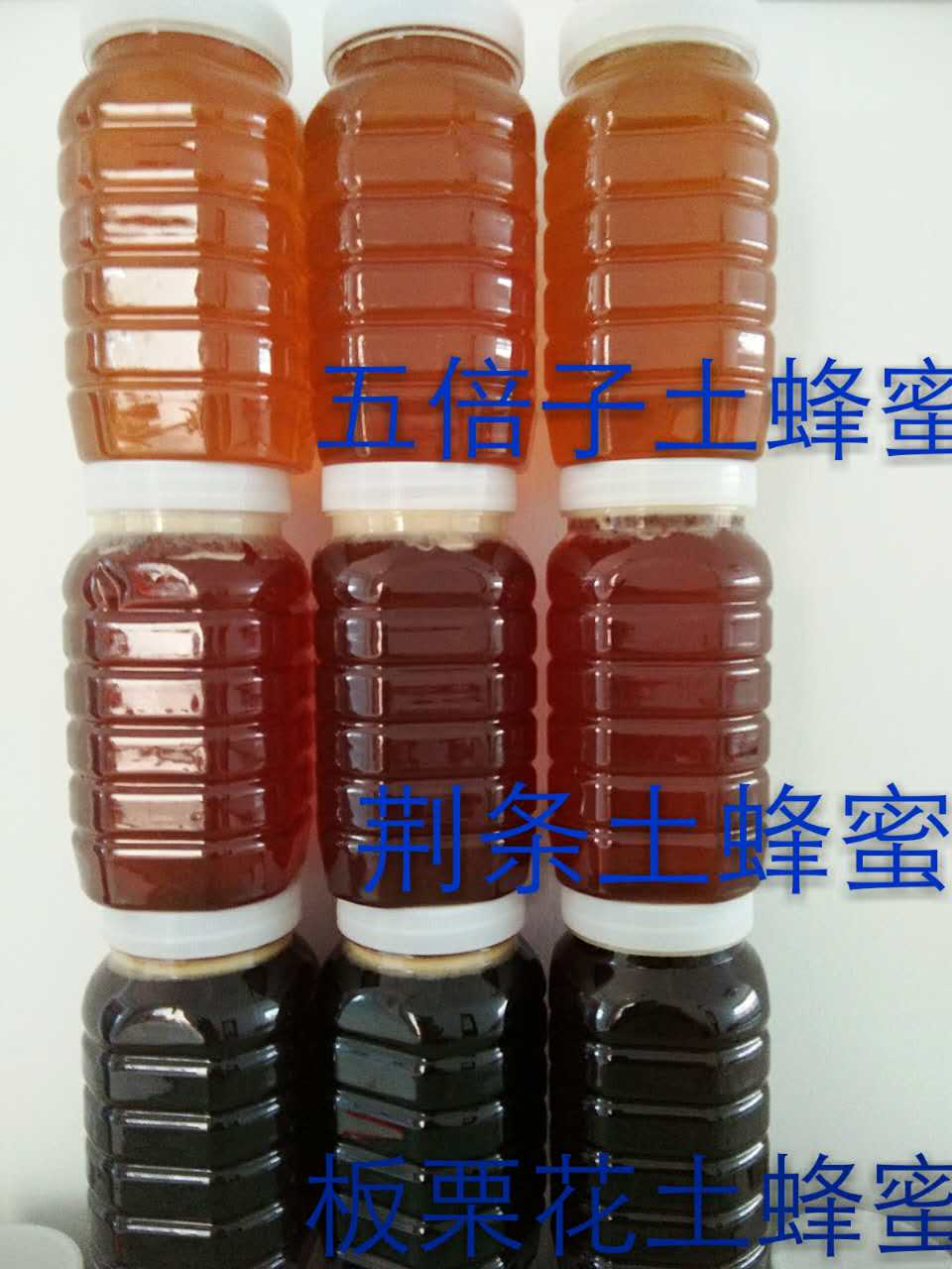 麻阳古树群中蜂养殖专业合作社,麻阳古树群中蜂养殖,麻阳古树群五倍子蜜,麻阳野生蜜